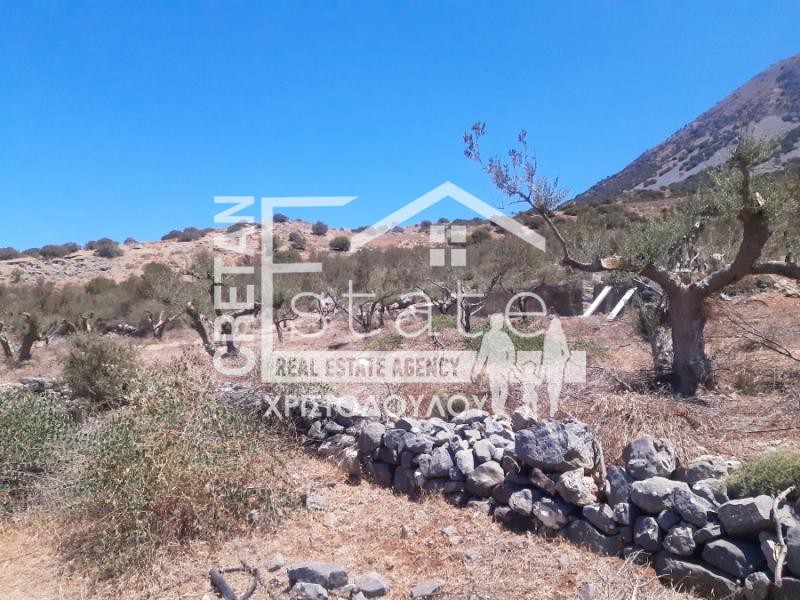 Αγροτεμάχια 13.000 τ.μ. πρός πώληση, Ν. Λασιθίου, Ιεράπετρα
