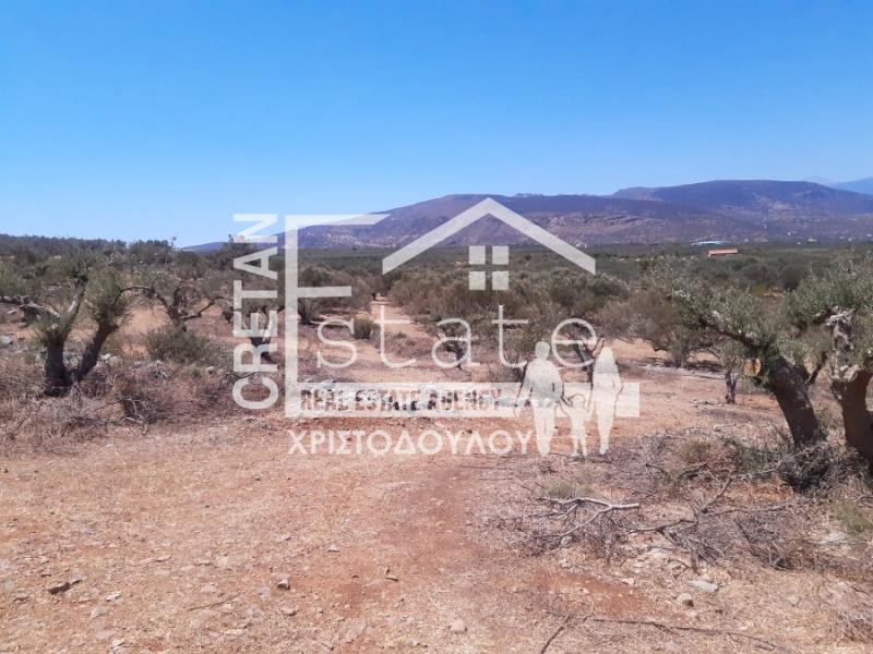 Αγροτεμάχια 13.000 τ.μ. πρός πώληση, Ν. Λασιθίου, Ιεράπετρα