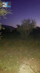 Οικόπεδο 700 τ.μ. για πώληση, Αχαΐα, Πάτρα-thumb-1