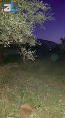 Οικόπεδο 700 τ.μ. για πώληση, Αχαΐα, Πάτρα-thumb-4