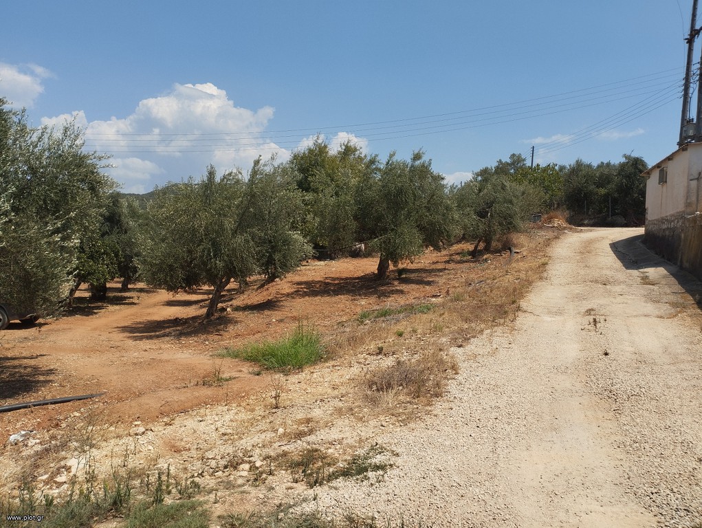 Αγροτεμάχια 7.356 τ.μ. για πώληση, Μεσσηνία, Γαργαλιάνοι