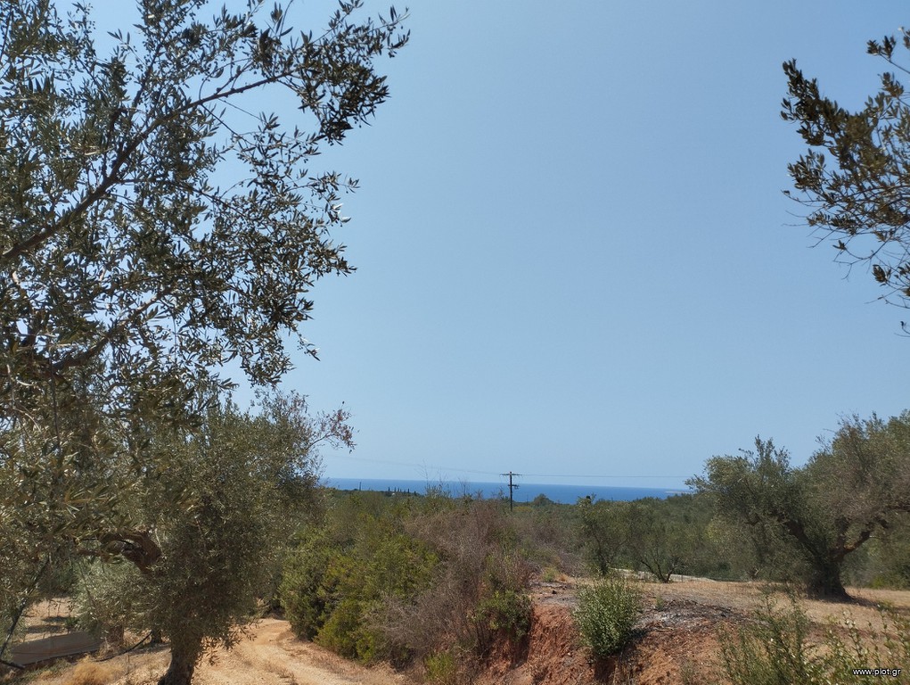 Αγροτεμάχια 7.356 τ.μ. προς πώληση, Κέντρο Γαργαλιάνων