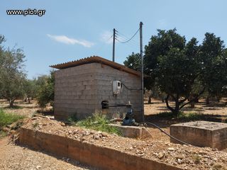 Αγροτεμάχια 7.356 τ.μ. για πώληση, Μεσσηνία, Γαργαλιάνοι-thumb-8