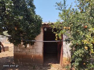Αγροτεμάχια 7.356 τ.μ. για πώληση, Μεσσηνία, Γαργαλιάνοι-thumb-12