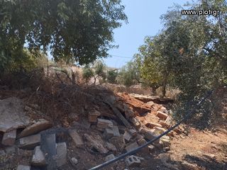 Αγροτεμάχια 7.356 τ.μ. για πώληση, Μεσσηνία, Γαργαλιάνοι-thumb-15