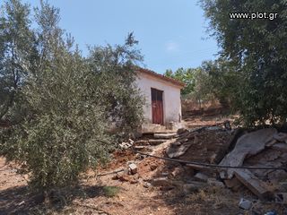 Αγροτεμάχια 7.356 τ.μ. για πώληση, Μεσσηνία, Γαργαλιάνοι-thumb-16