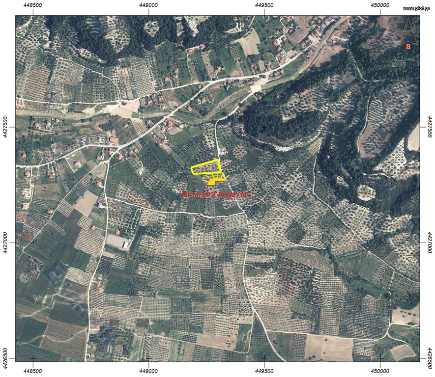 Αγροτεμάχια 4.934 τ.μ. πρός πώληση, Χαλκιδική, Κασσάνδρα