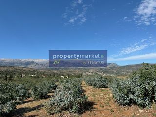 Οικόπεδο 9.200 τ.μ. για πώληση