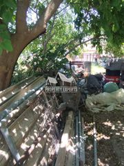 Μονοκατοικία 75 τ.μ. για πώληση, Εβρος, Φέρες-thumb-7