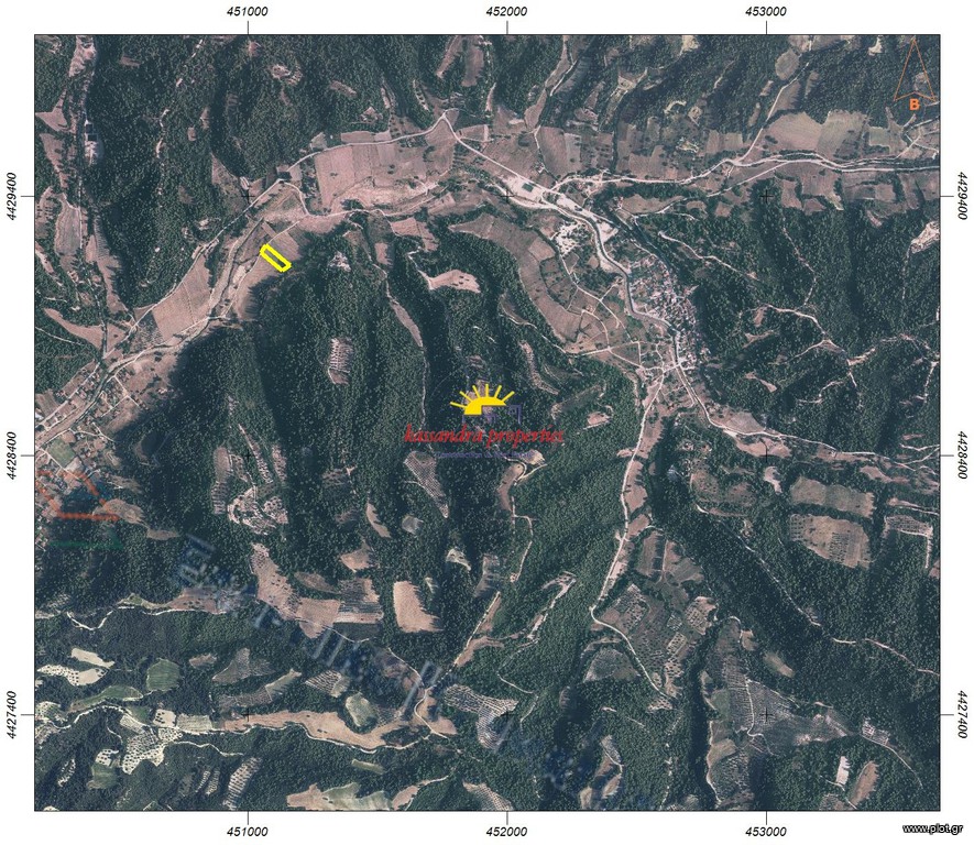 Αγροτεμάχια 4.238 τ.μ. πρός πώληση, Χαλκιδική, Κασσάνδρα