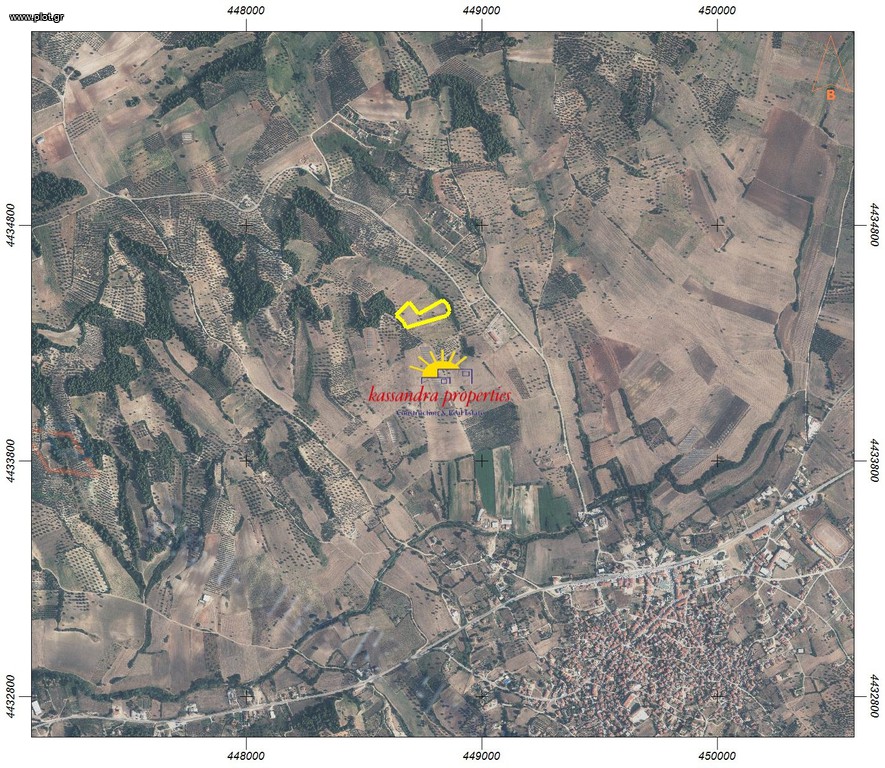 Αγροτεμάχια 13.906 τ.μ. πρός πώληση, Χαλκιδική, Κασσάνδρα