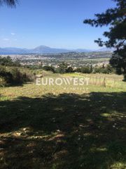 Οικόπεδο 5.500 τ.μ. για πώληση, Αχαΐα, Μεσσατίδα-thumb-8