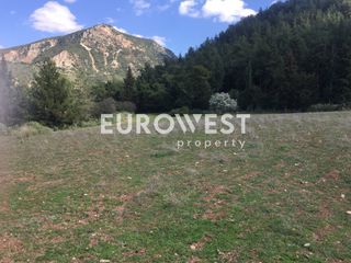 Οικόπεδο 5.500 τ.μ. για πώληση, Αχαΐα, Μεσσατίδα-thumb-3