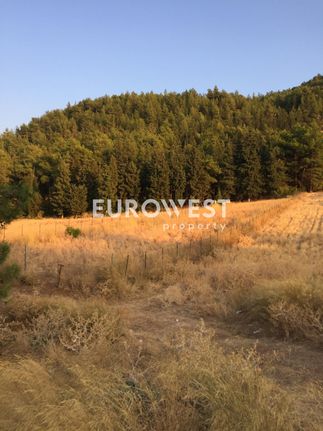 Οικόπεδο 5.500 τ.μ. για πώληση, Αχαΐα, Μεσσατίδα