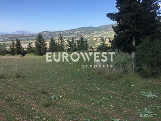 Οικόπεδο 5.500 τ.μ. για πώληση, Αχαΐα, Μεσσατίδα-thumb-5
