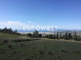 Οικόπεδο 5.500 τ.μ. για πώληση, Αχαΐα, Μεσσατίδα-thumb-4