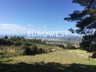 Οικόπεδο 5.500 τ.μ. για πώληση, Αχαΐα, Μεσσατίδα-thumb-9
