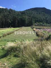 Οικόπεδο 5.500 τ.μ. για πώληση, Αχαΐα, Μεσσατίδα-thumb-2