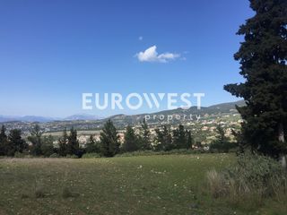 Οικόπεδο 5.500 τ.μ. για πώληση, Αχαΐα, Μεσσατίδα-thumb-6