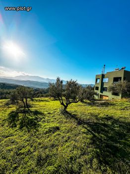 Οικόπεδο 1.000 τ.μ. για πώληση