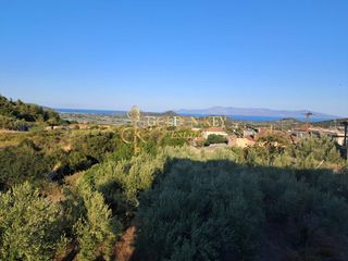 Μονοκατοικία 739 τ.μ. για πώληση, Ν. Καβάλας, Ελευθερές-thumb-12