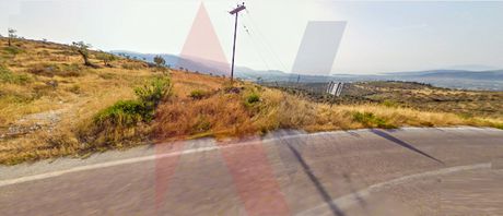 Αγροτεμάχια 15.000τ.μ. για πώληση-Νέα ιωνία βόλου » Μελισσάτικα