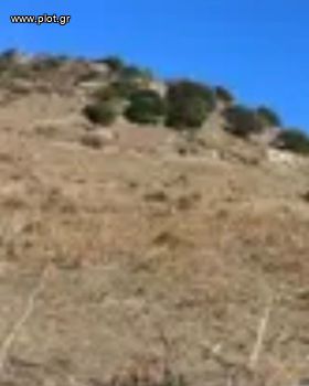 Οικόπεδο 7.200 τ.μ. για πώληση
