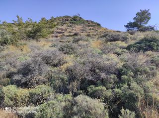 Οικόπεδο 3.545 τ.μ. για πώληση, Ν. Ηρακλείου, Βιαννός-thumb-18