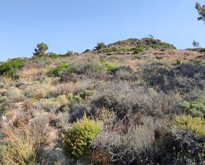 Οικόπεδο 3.545 τ.μ. για πώληση, Ν. Ηρακλείου, Βιαννός-thumb-19