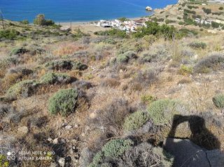 Οικόπεδο 3.545 τ.μ. για πώληση, Ν. Ηρακλείου, Βιαννός-thumb-7
