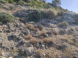 Οικόπεδο 3.545 τ.μ. για πώληση, Ν. Ηρακλείου, Βιαννός-thumb-12