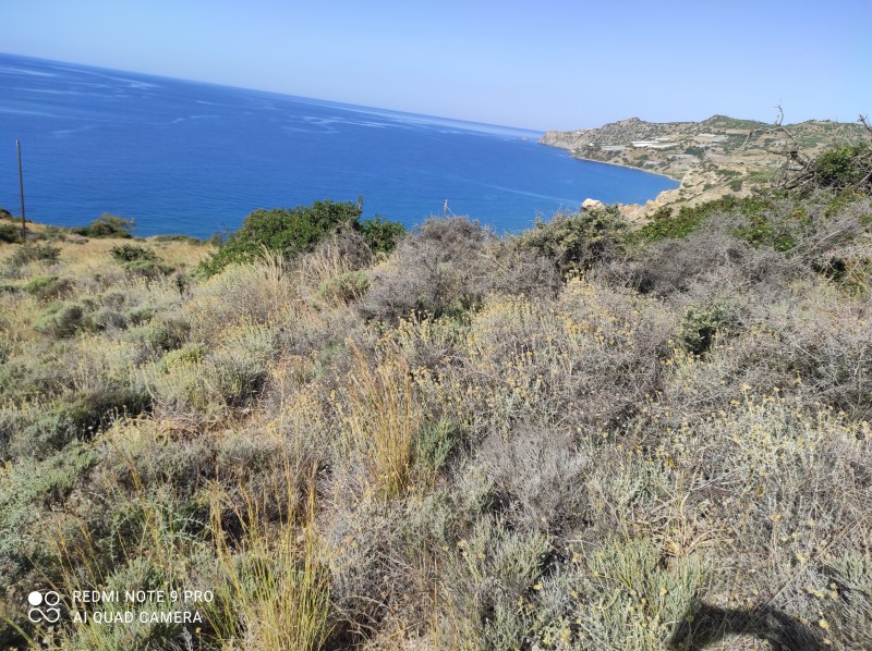 Οικόπεδο 3.545 τ.μ. για πώληση, Ν. Ηρακλείου, Βιαννός