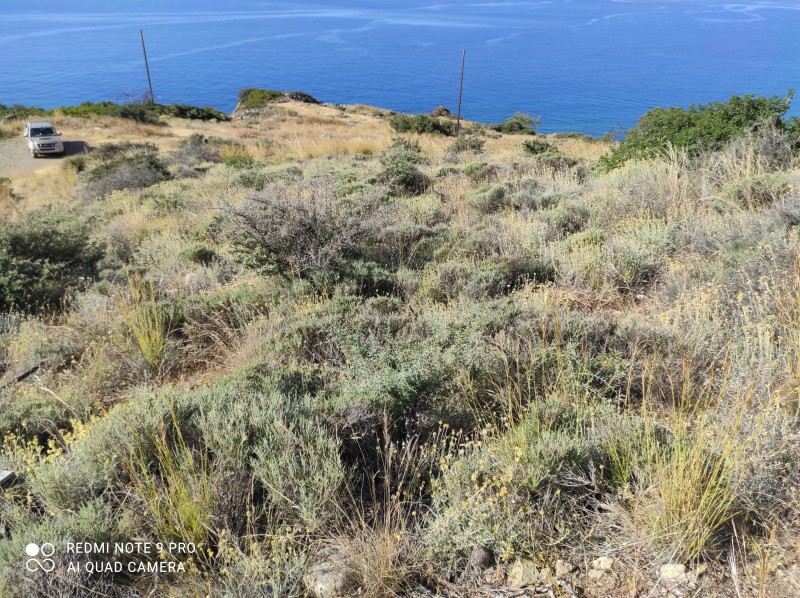 Οικόπεδο 3.545 τ.μ. πρός πώληση, Ν. Ηρακλείου, Βιαννός