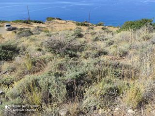 Οικόπεδο 3.545 τ.μ. για πώληση, Ν. Ηρακλείου, Βιαννός-thumb-2