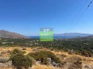 Οικόπεδο 13.208 τ.μ. για πώληση, Θεσσαλονίκη - Κέντρο, Κέντρο-thumb-6