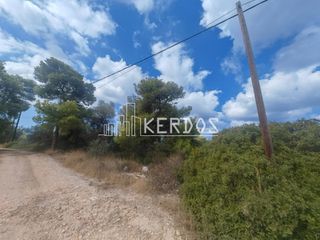Οικόπεδο 5.983 τ.μ. για πώληση