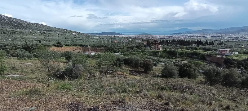 Αγροτεμάχια 15.844 τ.μ. πρός πώληση, Μαγνησία, Νέα Ιωνία Βόλου