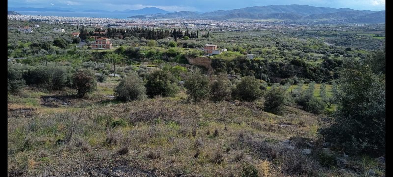 Αγροτεμάχια 15.844 τ.μ. πρός πώληση, Μαγνησία, Νέα Ιωνία Βόλου