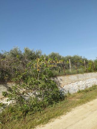 Parcel 3.300 sqm for sale, Kavala Prefecture, Kavala