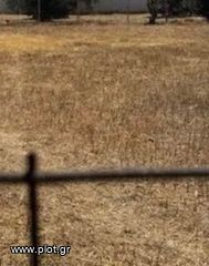 Land plot 467 sqm for sale