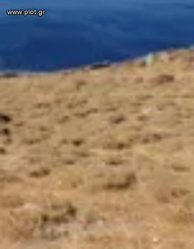 Οικόπεδο 11.000 τ.μ. για πώληση