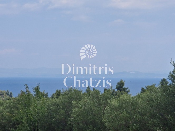 Αγροτεμάχια 9.300 τ.μ. πρός πώληση, Χαλκιδική, Κασσάνδρα