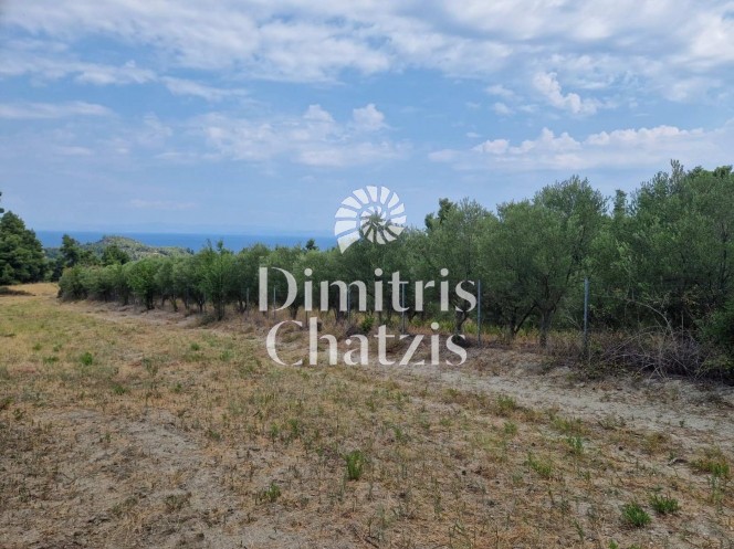 Αγροτεμάχια 9.300 τ.μ. πρός πώληση, Χαλκιδική, Κασσάνδρα