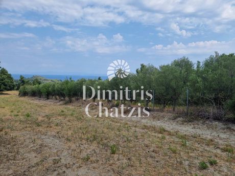 Αγροτεμάχια 9.300 τ.μ. για πώληση