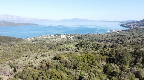 Αγροτεμάχια 4.478 τ.μ. για πώληση