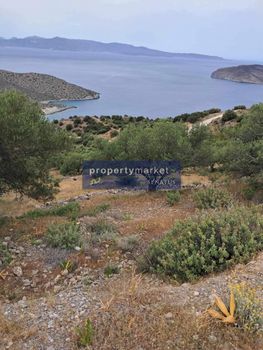 Parcel 9.330sqm for sale-Ierapetra » Kavousi