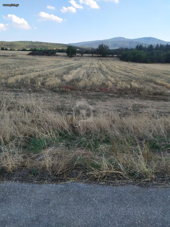 Αγροτεμάχια 5.000 τ.μ. προς ενοικίαση, Θεσσαλονίκη - Υπόλ. Νομού, Κορώνεια