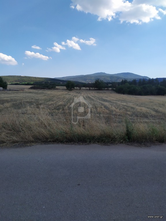 Αγροτεμάχια 5.000 τ.μ. προς ενοικίαση, Θεσσαλονίκη - Υπόλ. Νομού, Κορώνεια