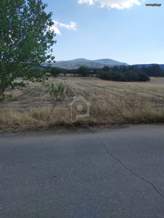 Αγροτεμάχια 5.000 τ.μ. προς ενοικίαση, Θεσσαλονίκη - Υπόλ. Νομού, Κορώνεια