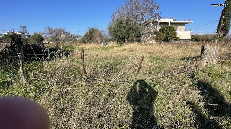 Οικόπεδο 450 τ.μ. για πώληση, Φθιώτιδας, Λαμία